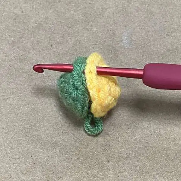 Two eucalyptus stems attached to a small soil pot crocheted base